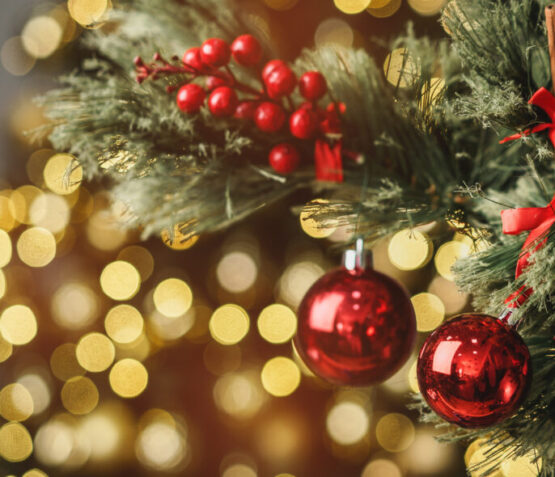 Christmas,Pine,Tree,Branch,With,Decorations,Close,Up